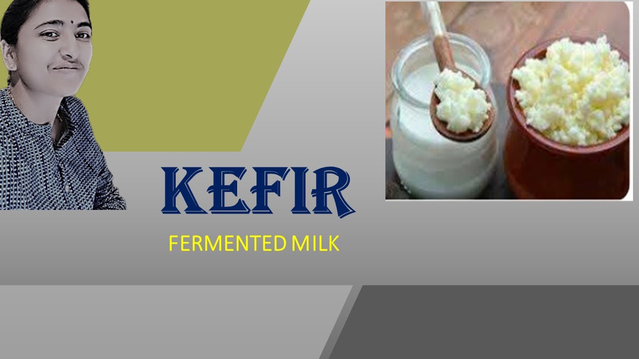 KEFIR II  FERMENTED MILK II MICROBIAL PRODUCTS OF MILK II DAIRY MICROBIOLOGY
