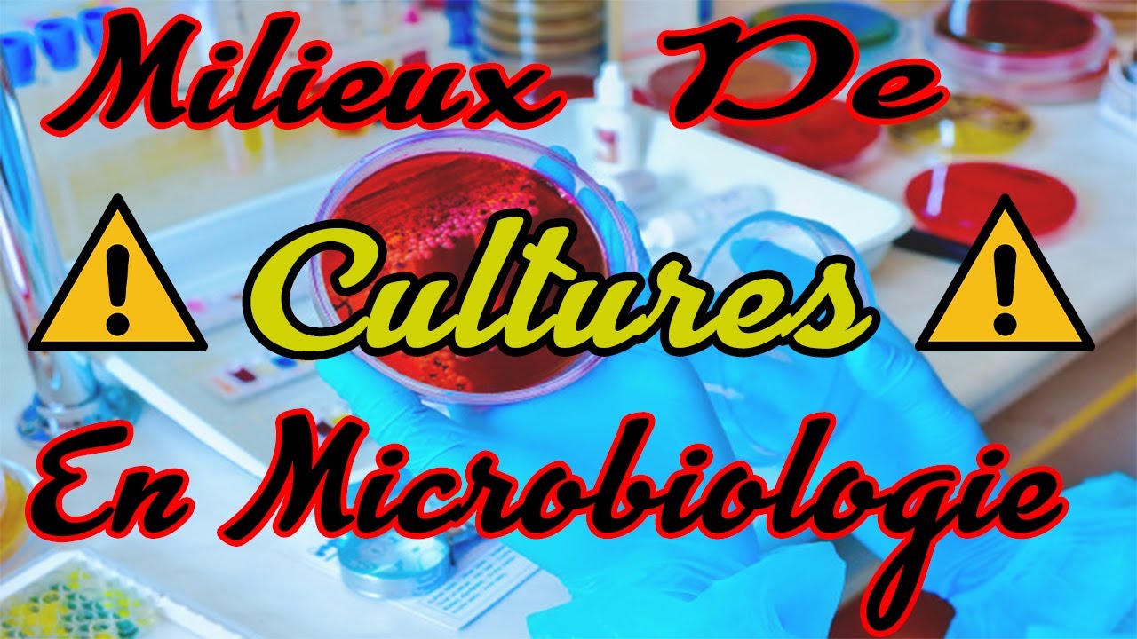 les milieux de cultures en microbiologie اوساط الزرع في الميكروبيولوجيا