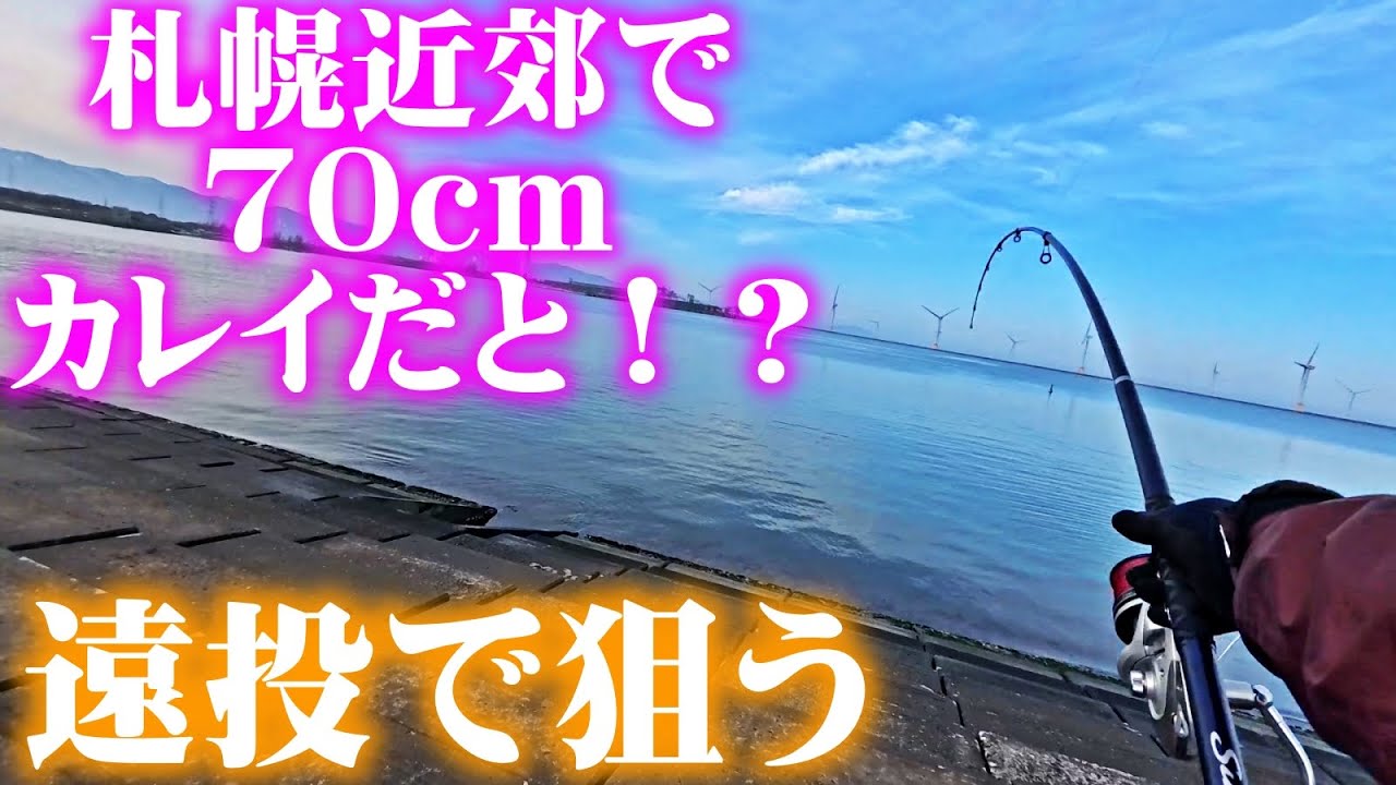 【釣り】北海道・札幌近郊で７０ｃｍカレイ！？ミラクルサイズを求めて投げ釣り：2025年11月