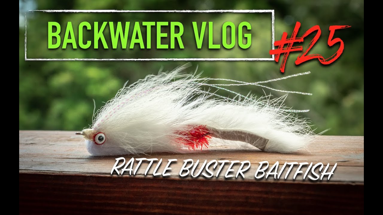 Rattle Buster Baitfish STREAMER: BACKWATER VLOG #25