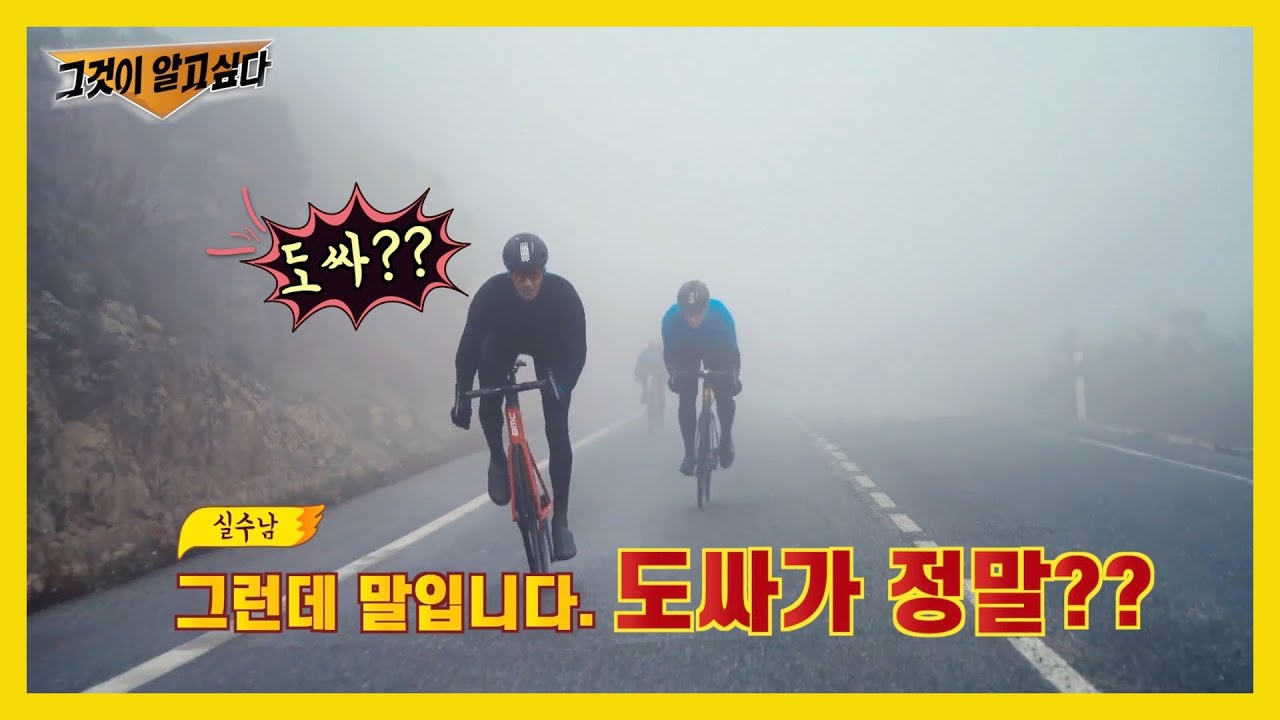 도싸? 그것이 알고 싶다 | 