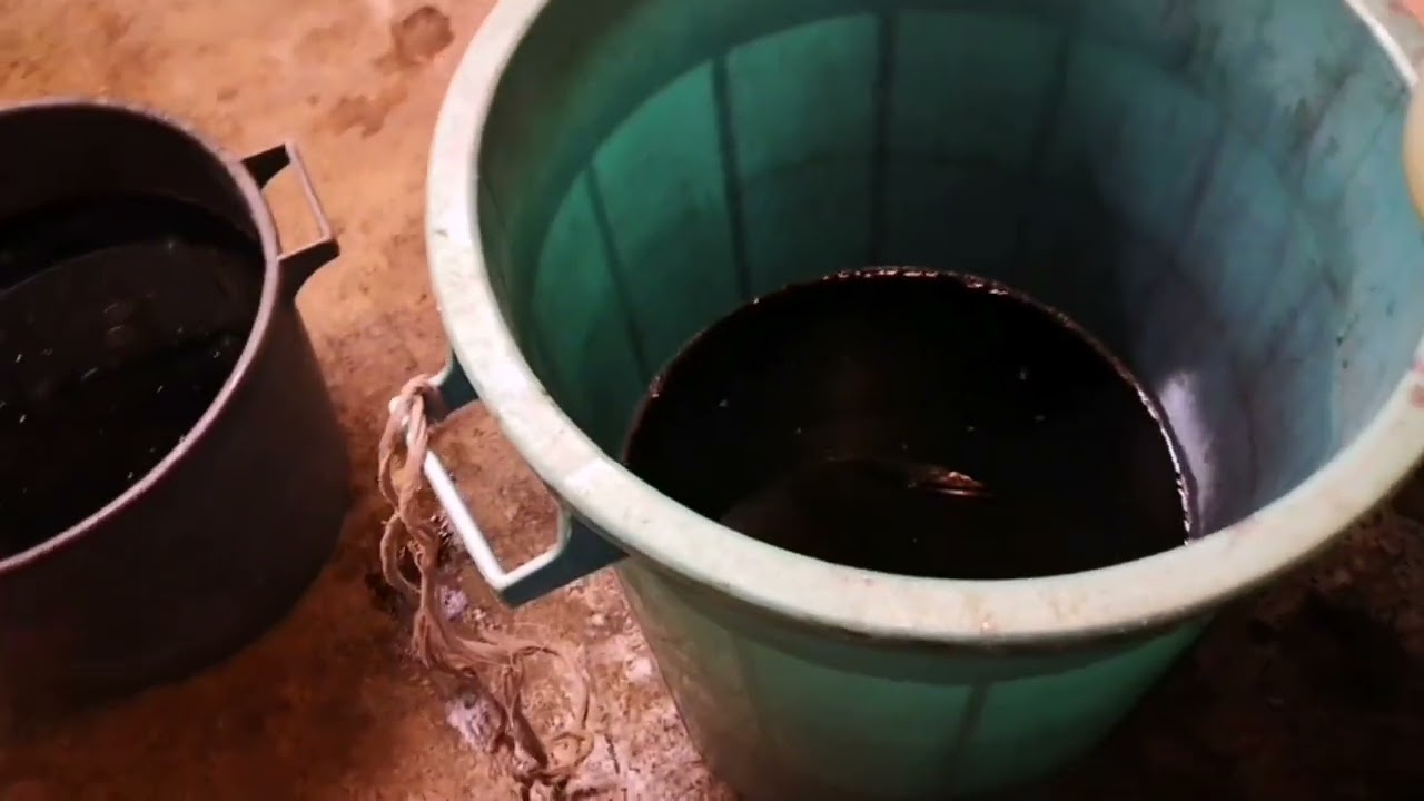 Buongiorno a tutti sto facendo il travaso del vino e buttare via la feccia depositata in fondo!