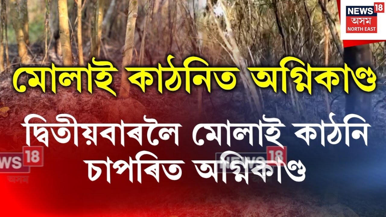 Mulai Kathoti Forest Fire | সপ্তাহটোত দ্বিতীয়বাৰলৈ মোলাই কাঠনি চাপৰিত অগ্নিকাণ্ড | N18V