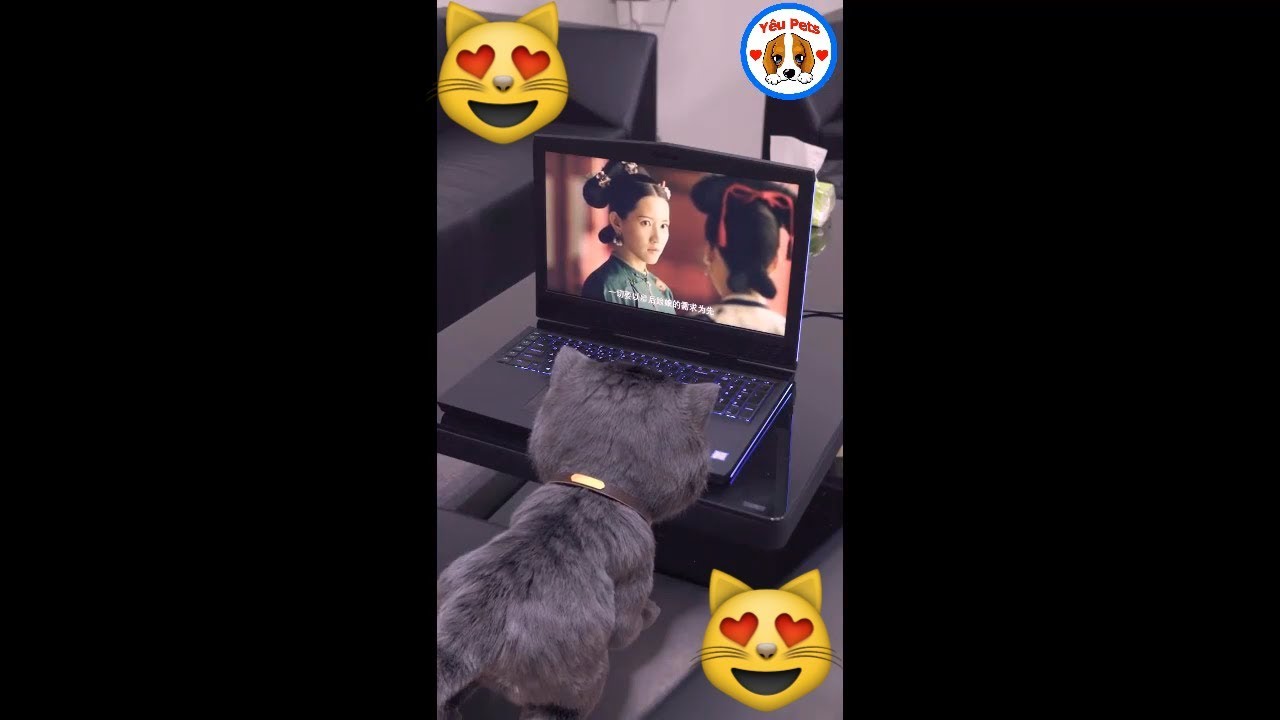 Ho&agrave;ng Thượng Dễ Thương Tập 2│Y&ecirc;u Pets
