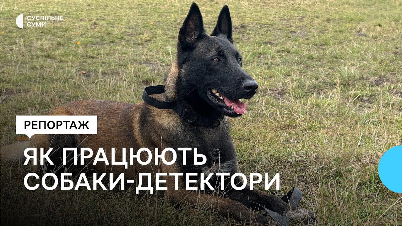 Службові собаки Нацгвардії показали бойові навички