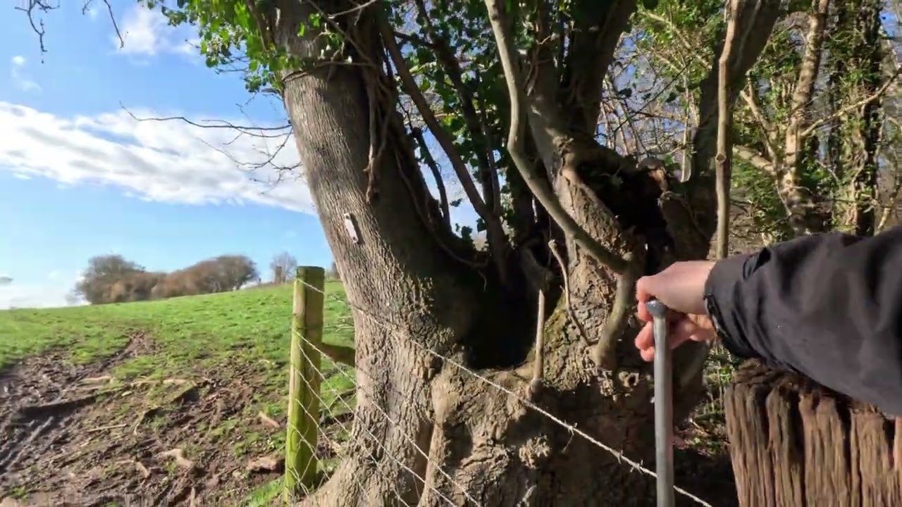 A Quiet Walk Through Rolling Somerset Countryside