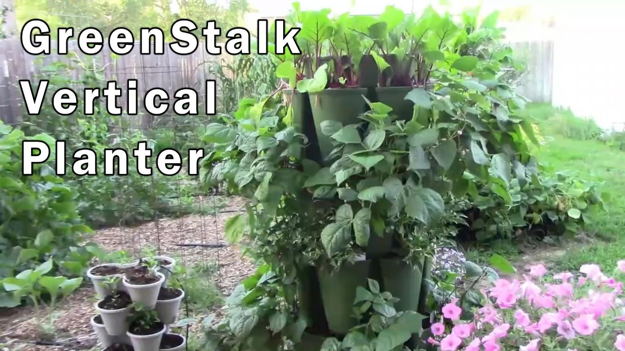 4 года использования нашего кашпо GreenStalk и как работает система полива.