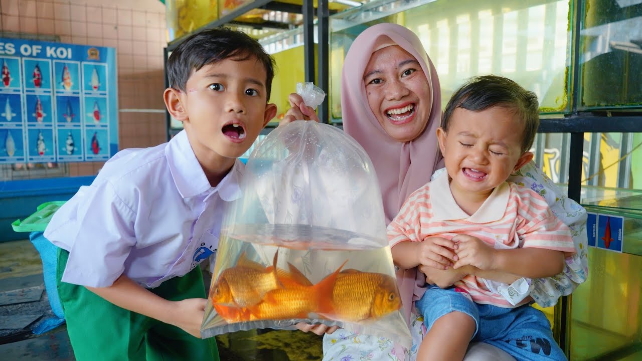 AZAM SEROK TIGA IKAN KOI😱 JMEPUT PULANG SEKOLAH