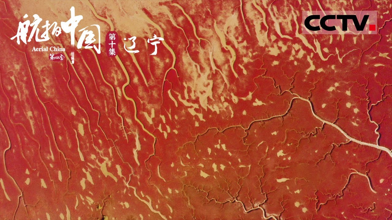 《航拍中国》第四季 一到秋天这里的大海会变色？在中国最北海岸线 一棵棵碱蓬草织就成世界上最大的红海滩 EP10 Aerial China Ⅳ【CCTV纪录】