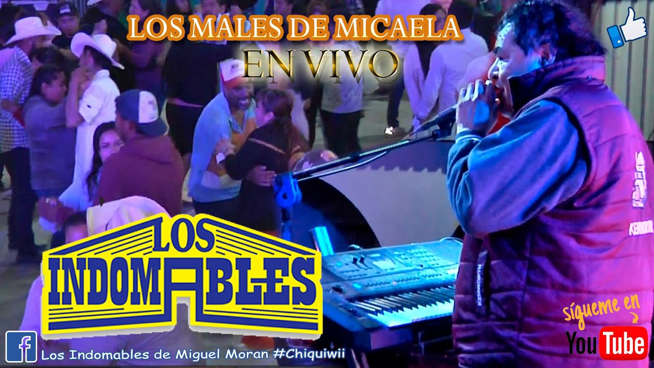 El Barranquillero y Los Males de Micaela || Los Indomables en Vivo