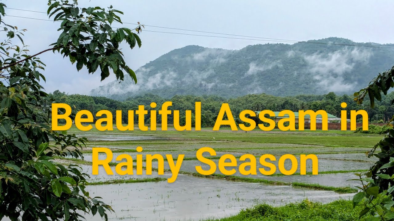 Beautiful Assam in Rainy Season #assam #guwahati #travelvlog #yt #travel #nature #rainyday