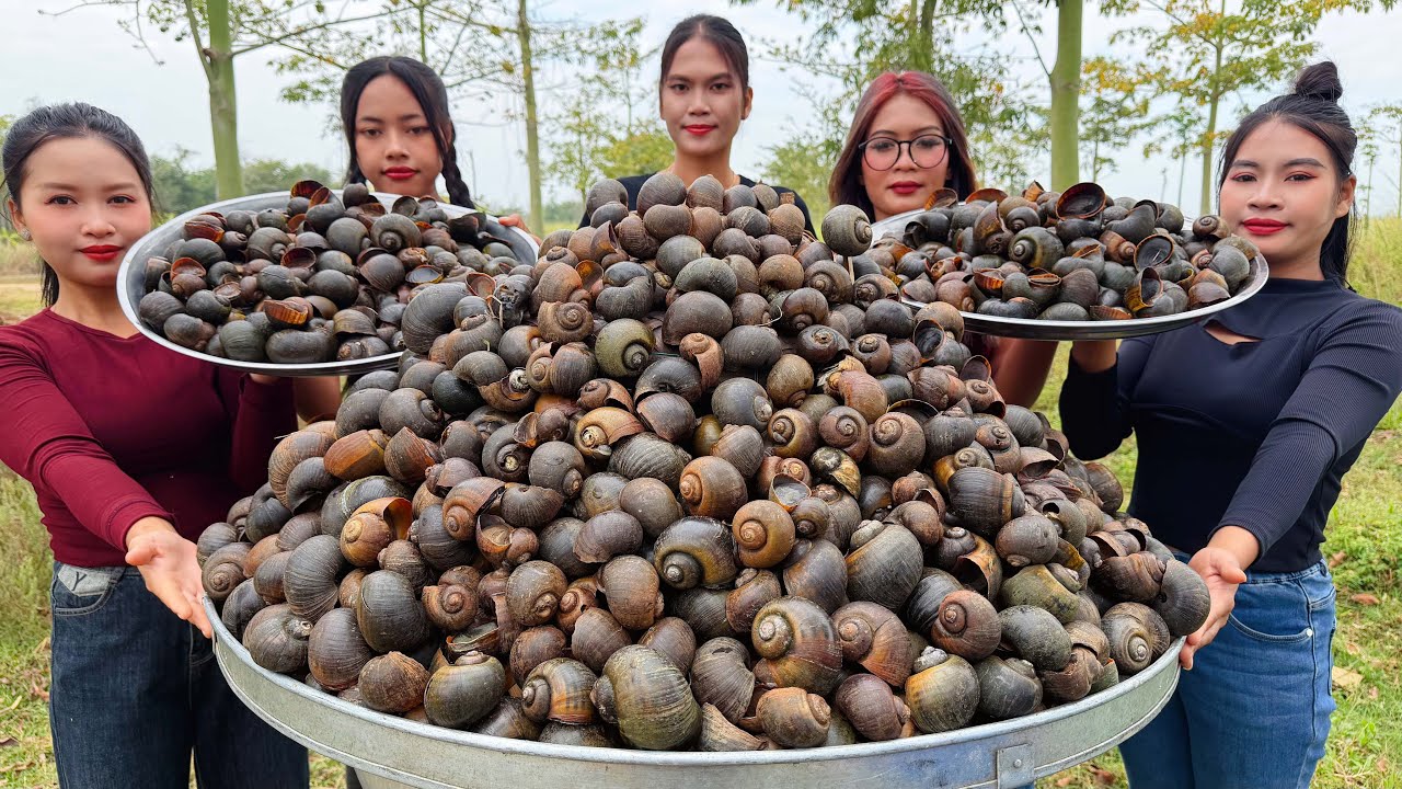 Amazing cooking snail stir-fry with chili recipe in my countryside