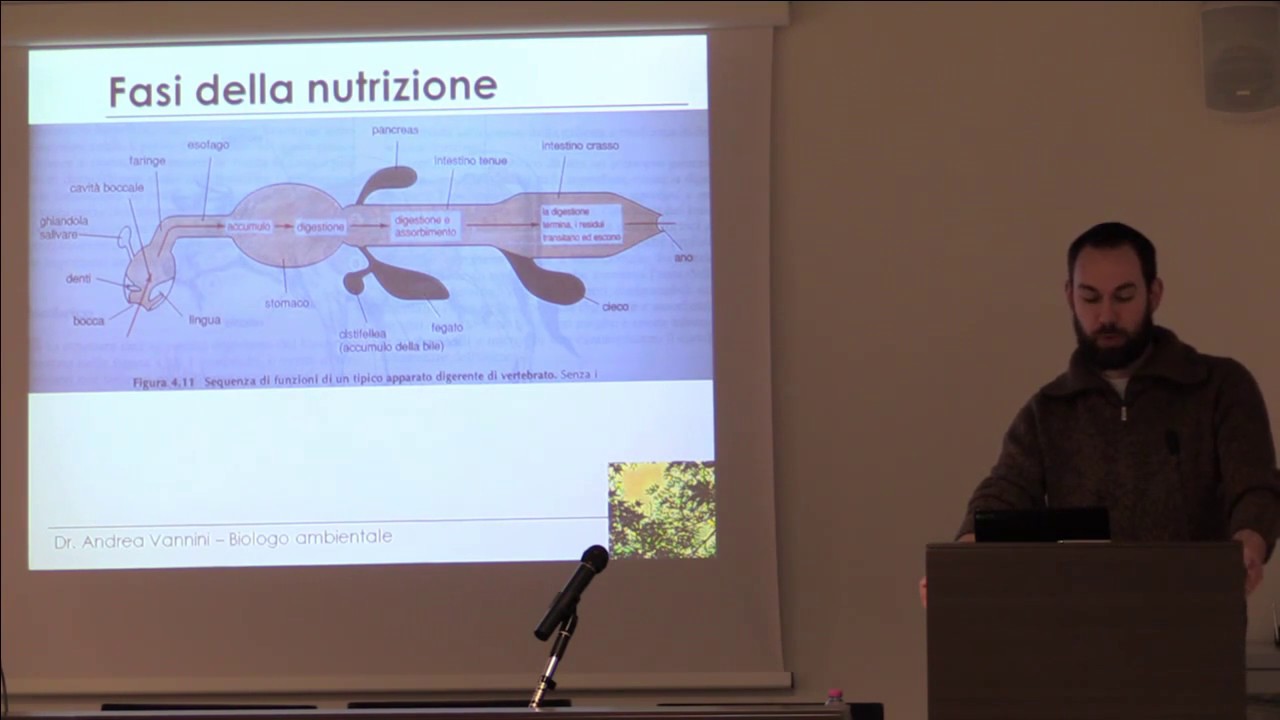 ONB - La nutrizione dei pesci d'acquario: il biologo e gli animali non convenzionali