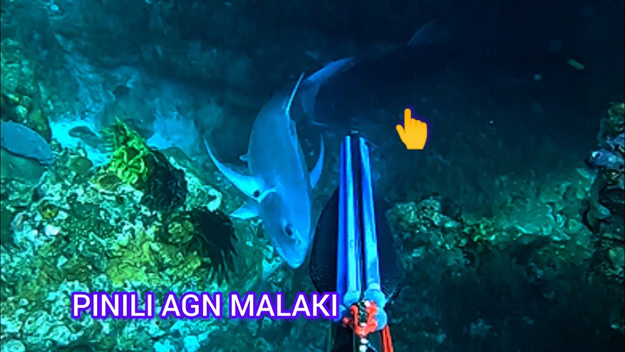 DAMING NAG PAKITANG MAMSA CATCH & COOK & SELL 