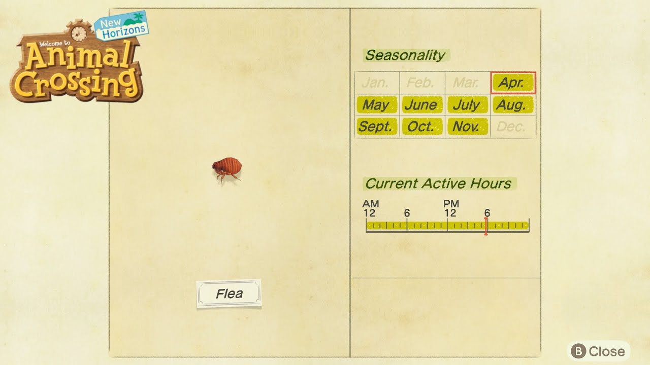 How to Catch A Flea in Animal Crossing New Horizon