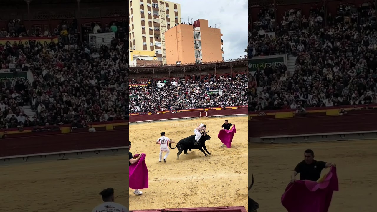 Cogida Del Toro A Mario En La Feria De La Magdalena De Castell&oacute;n 2024 #shorts