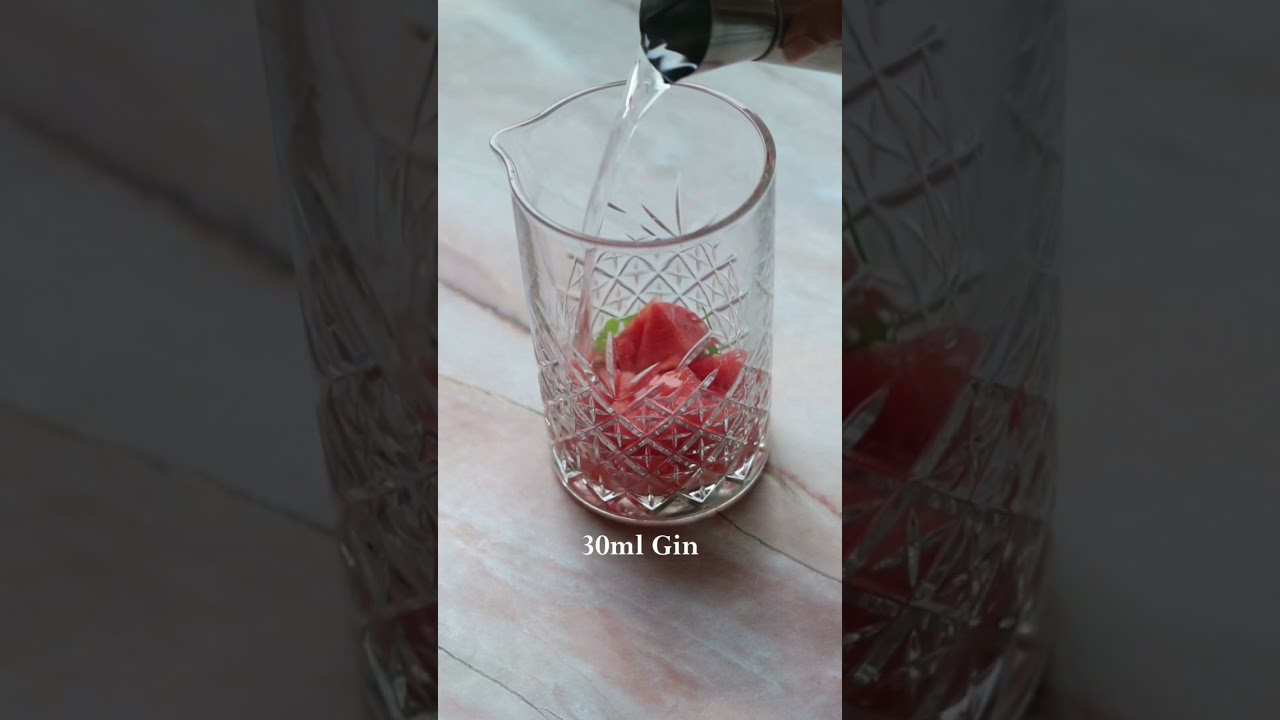 Watermelon & Gin Cocktail 🍹