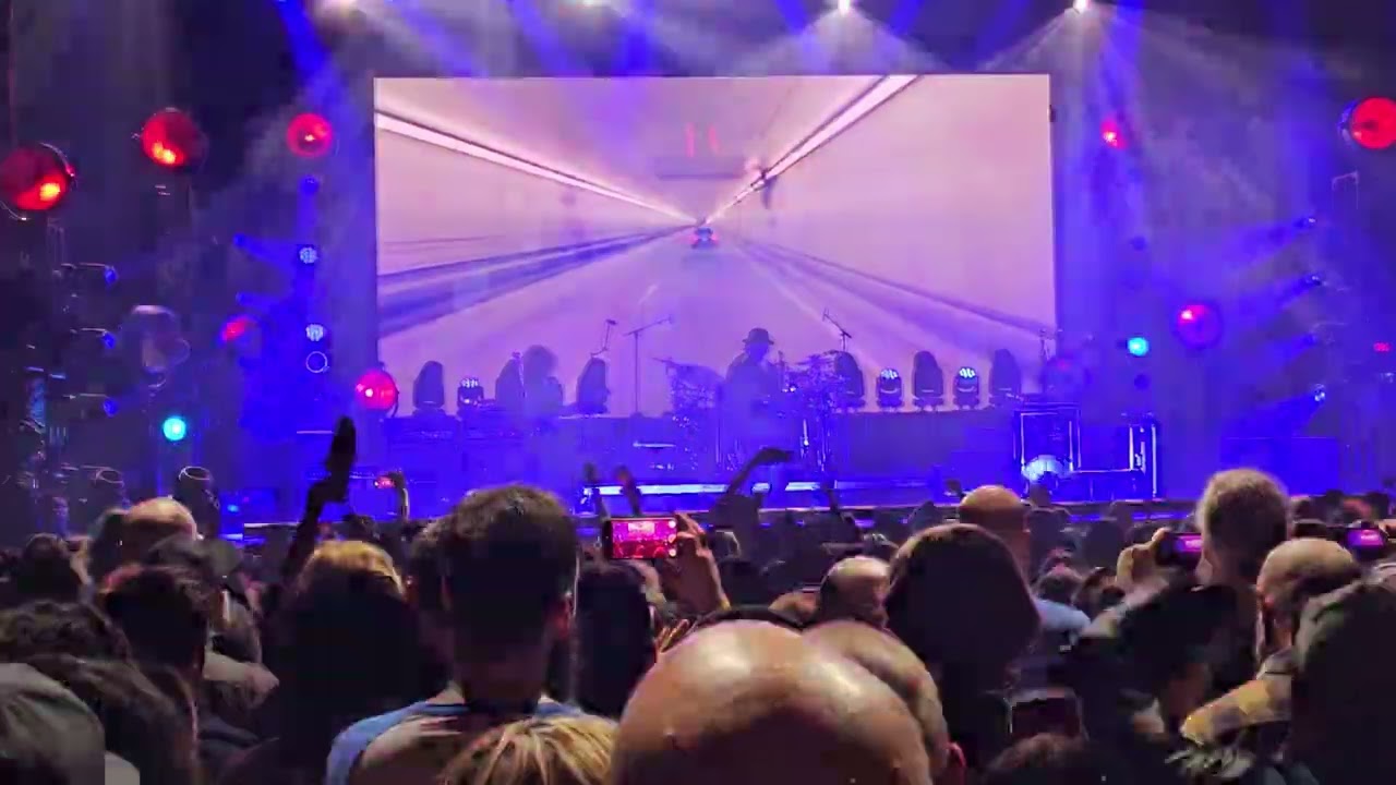 primus sucks 