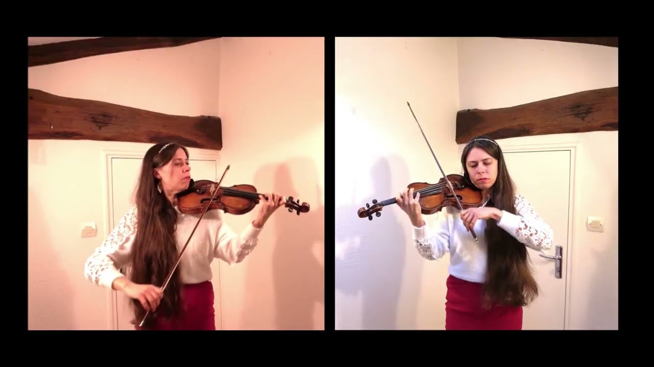 Stefan Kraus 🌟Musik für zwei Violinen✨  Violin Duo