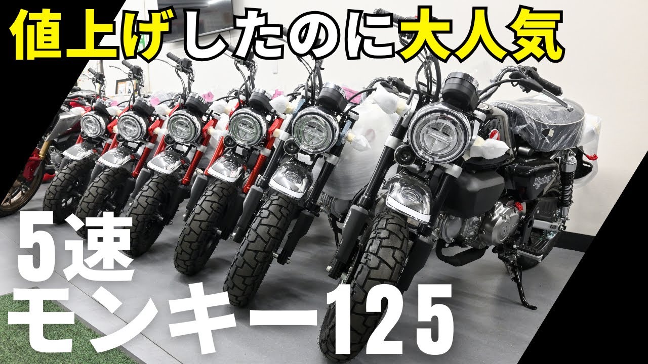 2025年新型モンキー125が大人気！5速モンキーはセカンドバイクの最適解…正直私もこれ以上値上げされる前に欲しい