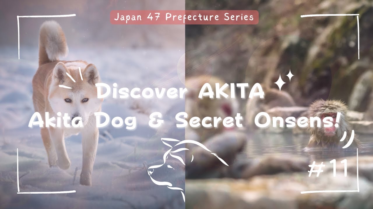 Why AKITA Should Be On Your Japan Bucket List &ndash; Winter Wonderland & Authentic Culture