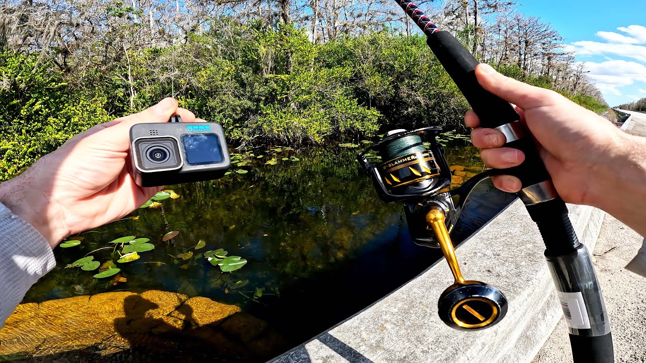 Florida Everglades Roadside Canal Fishing (Underwater)