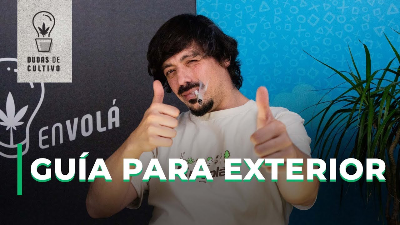 GU&Iacute;A: PRIMER CULTIVO EXTERIOR 2023 🌞