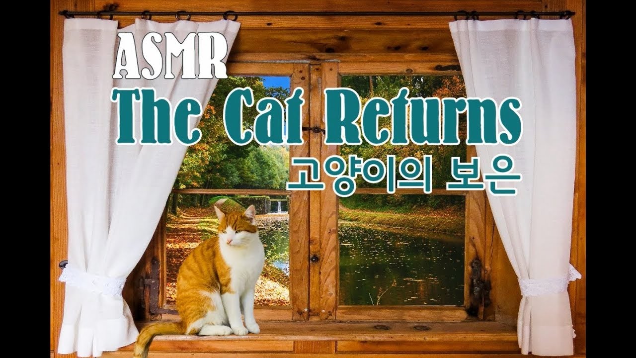 '고양이 행렬과 티타임' (영화, '고양이의 보은') I 'March of cats & Tea time' (Movie, 'The Cat Returns')