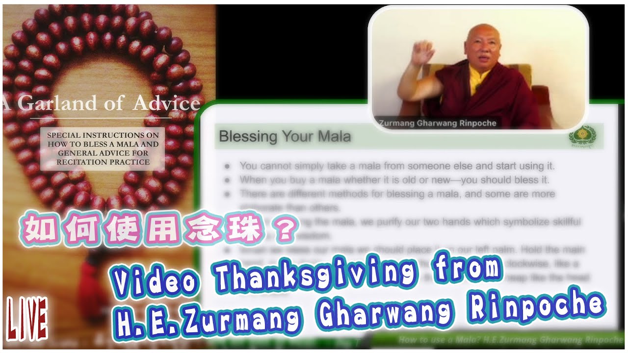 如何使用念珠？(上) 蘇曼噶旺仁波切教導 Gharwang Rinpoche Live ＠中譯Ruby＿How to use a Mala？(1) 4/13