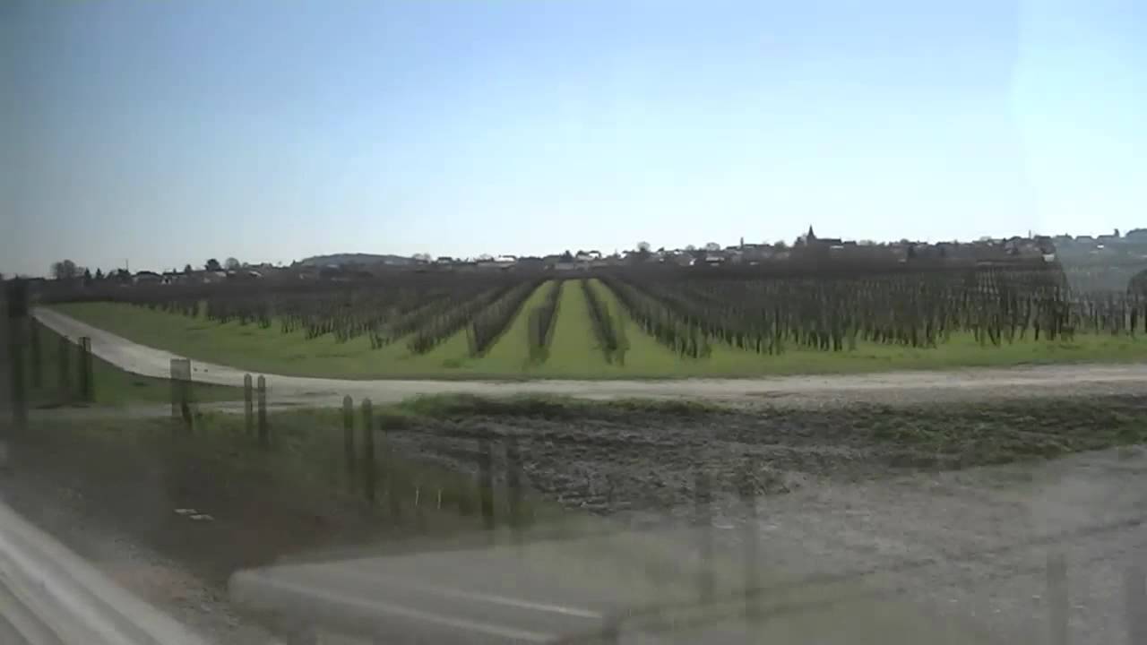 35. ENTRE SAUMUR ET MONTREUIL-BELLAY