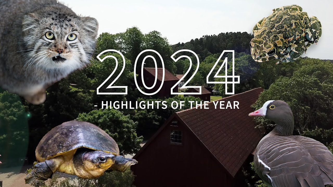Conservation highlights 2024