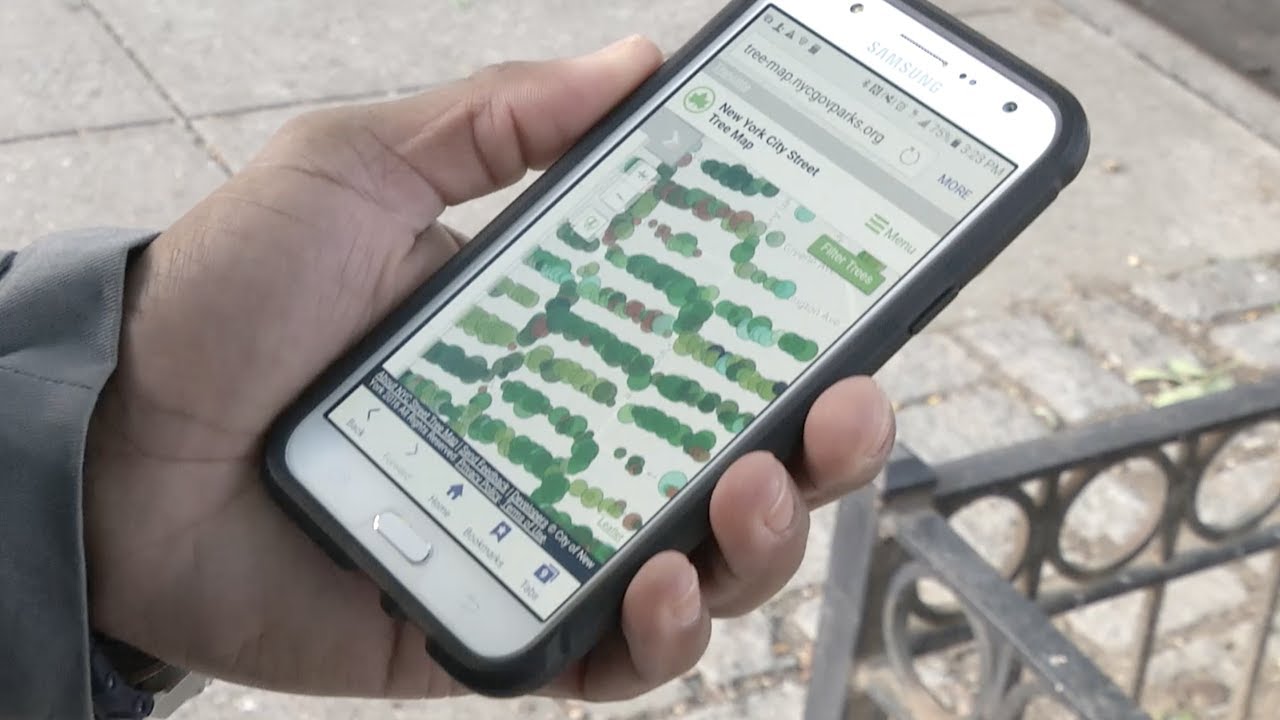 NYC Street Tree Map