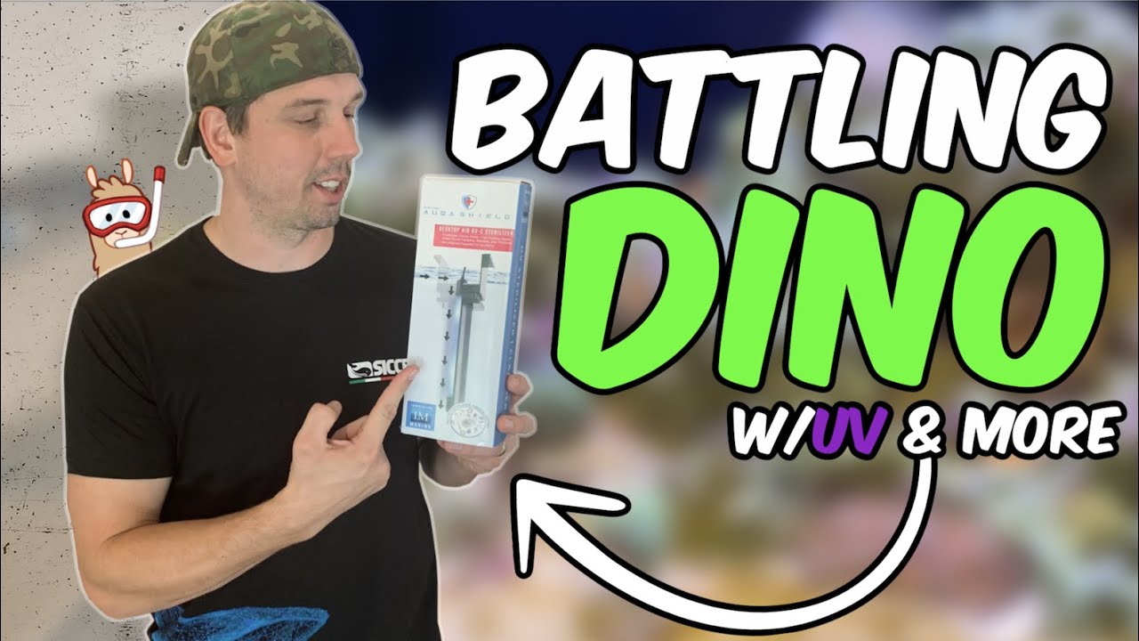 How I Won the Battle Against Dinoflagellates & A Local Fish Store Tour (Gateway Aquatics)