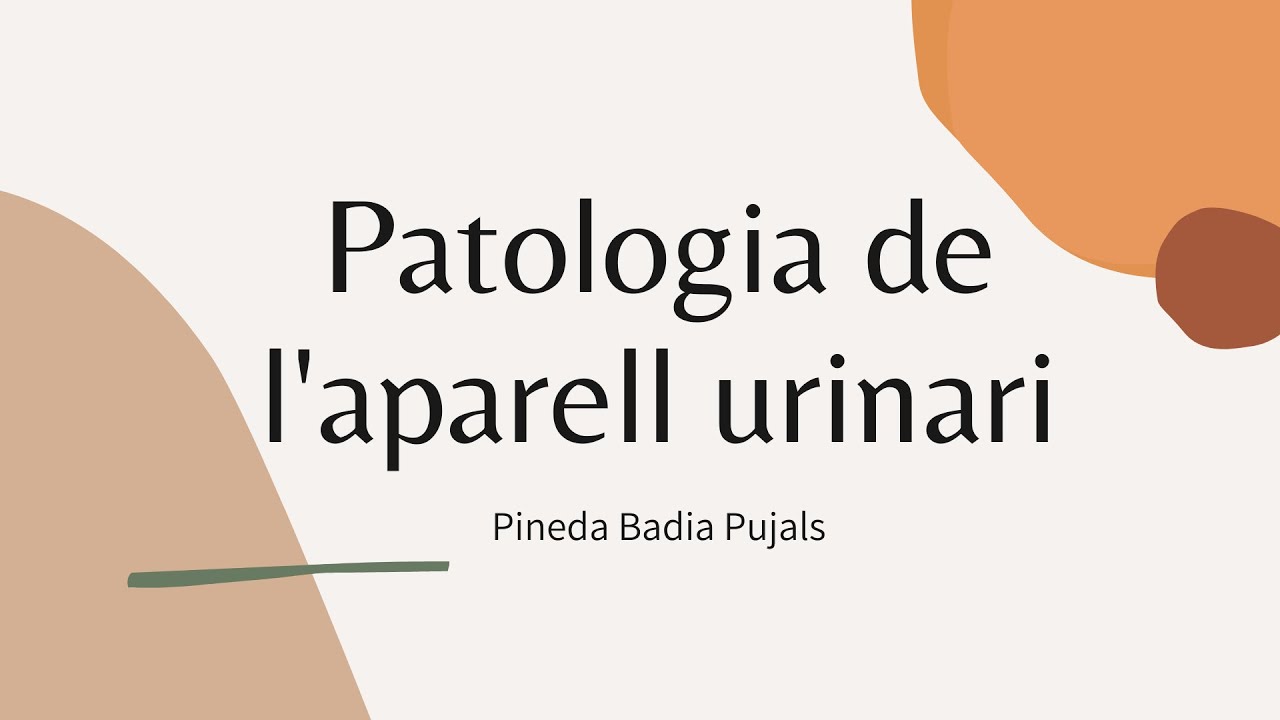 Patologia aparell urinari