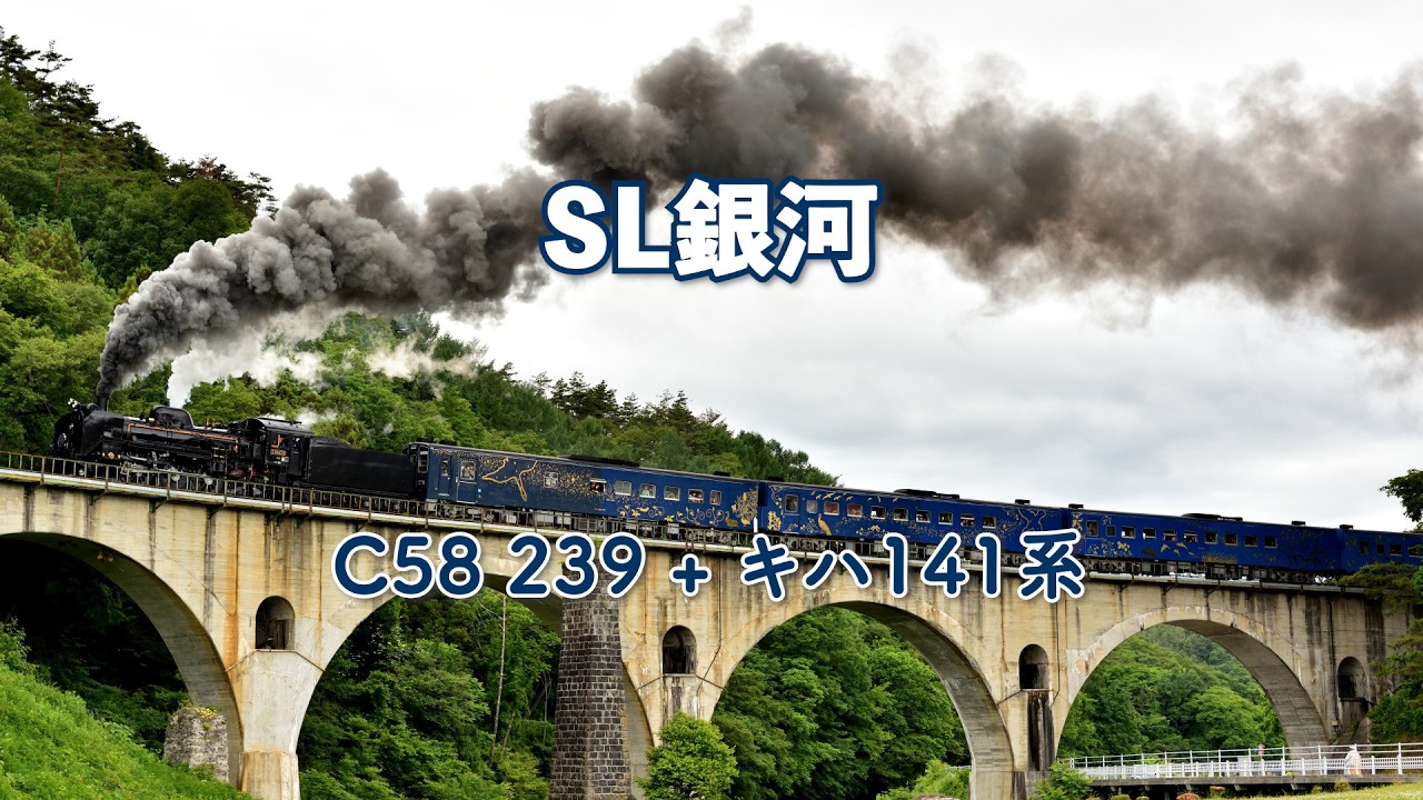 めがね橋、辛子菜畑を行くSL銀河 − C58 239 + キハ141系(8621レ) #SL銀河 #C58239 #キハ141系 #8621レ #めがね橋 #日出 #釜石線 #JR東日本 #鉄道動画