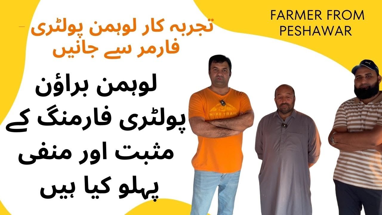 What are the Positives & Negatives of Lohmann Brown Poultry Farming - Learn from Experienced Farmer