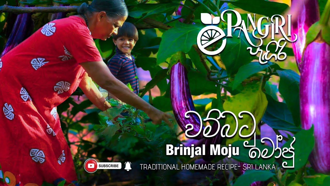 Brinjal Moju / Wambatu Moju  Sri Lanka / වම්බටු මෝජු / Wambatu Moju Sinhala /  Pangiri