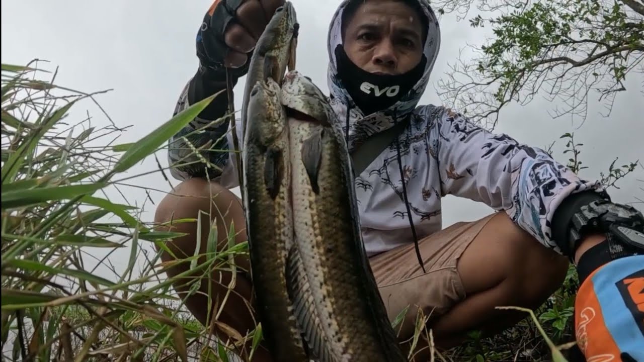 Lugar na Mistulang Lawa, Maraming ISDA