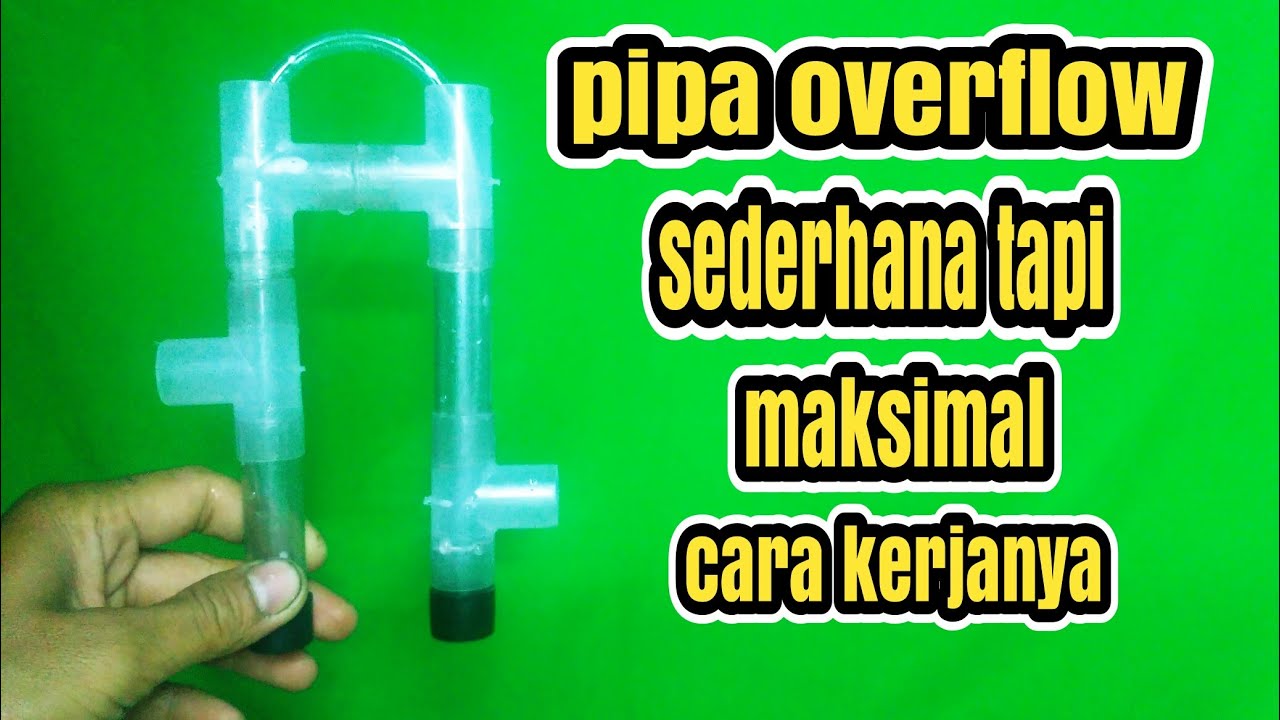 cara mudah membuat pipa overflow kolam koi saat hujan tiba | diy overflow