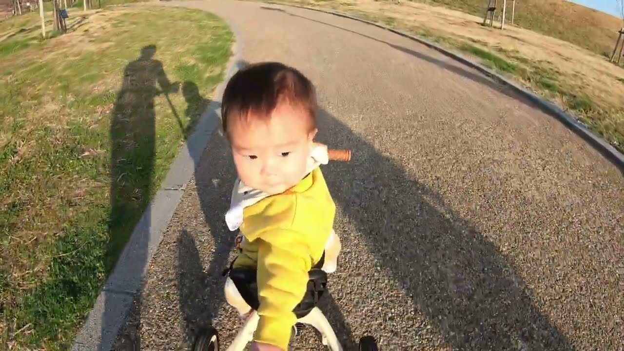 公園でお散歩