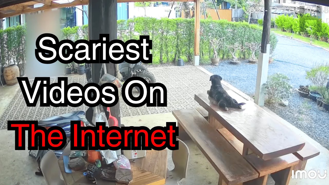 Real Scary Videos That Will Leave You Shocked [Vol. 154]