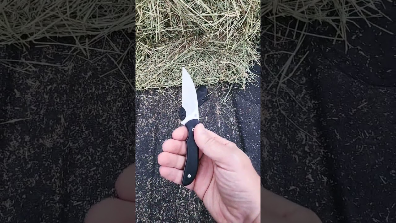 What's Haggis Carrying Today? Artisan Knives Sea Snake #edc #fixedblade #knife #haggis