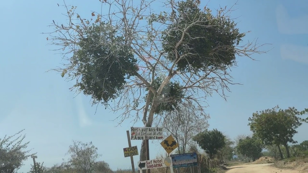 visitando playa Agua Blanca de la costas de Oaxaca// aventuras puerto escondido