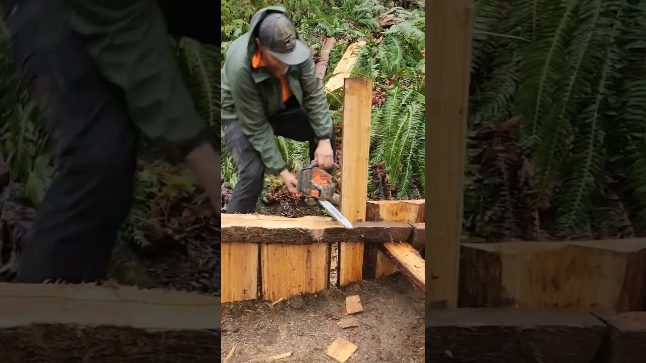 #treelines #nw #mtb #wood #chainsaw #trailbuilding #ebikers #ebikestyle