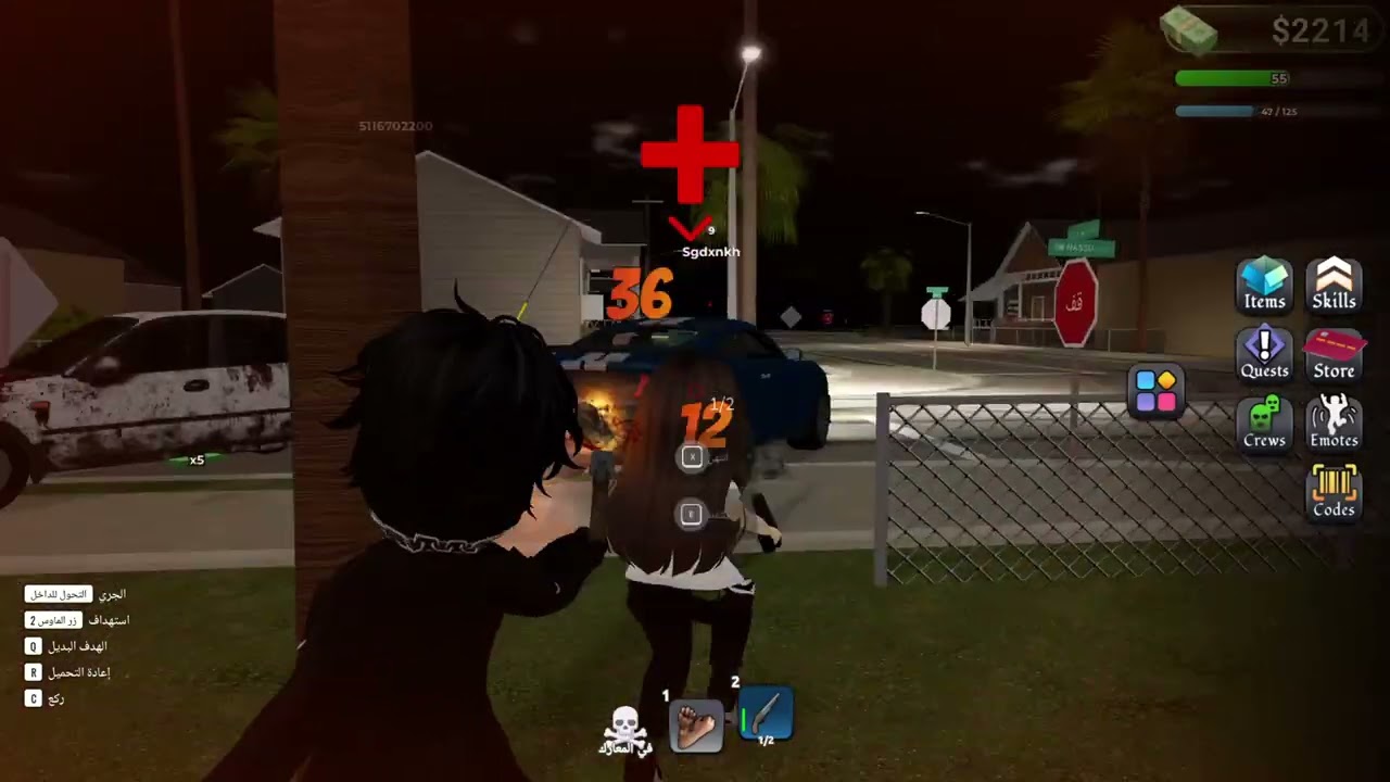 Roblox_20260117003443