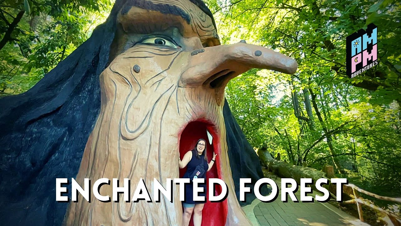 Enchanted Forest - AMPM IRL