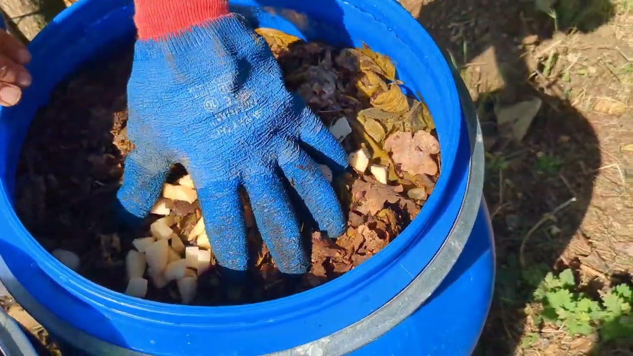 Fermentati e Macerati vari