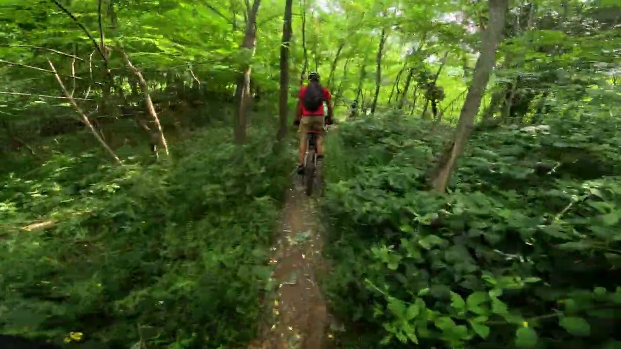 MTB Montello in eBike tra grandi amici | Kontadinasso SanMartino | FANTIC XMF 1.7 | GoPro Hero 11