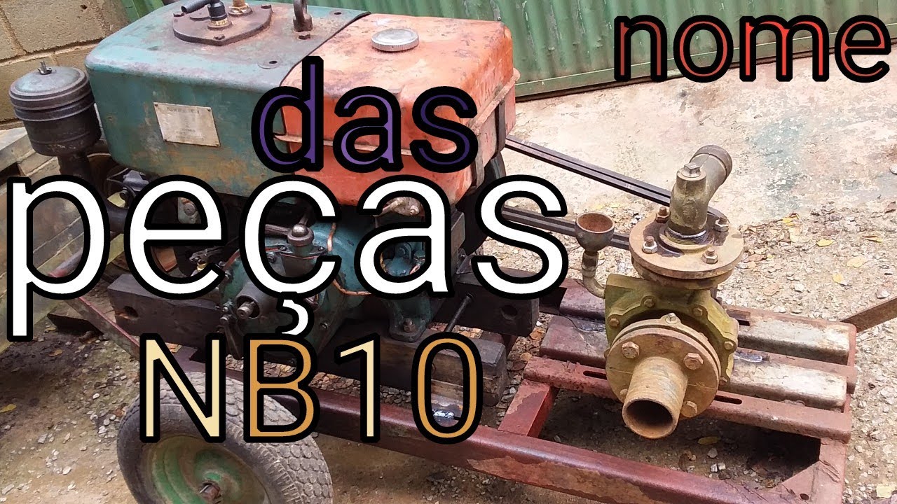 Como desmontar um motor estacionário NB 10