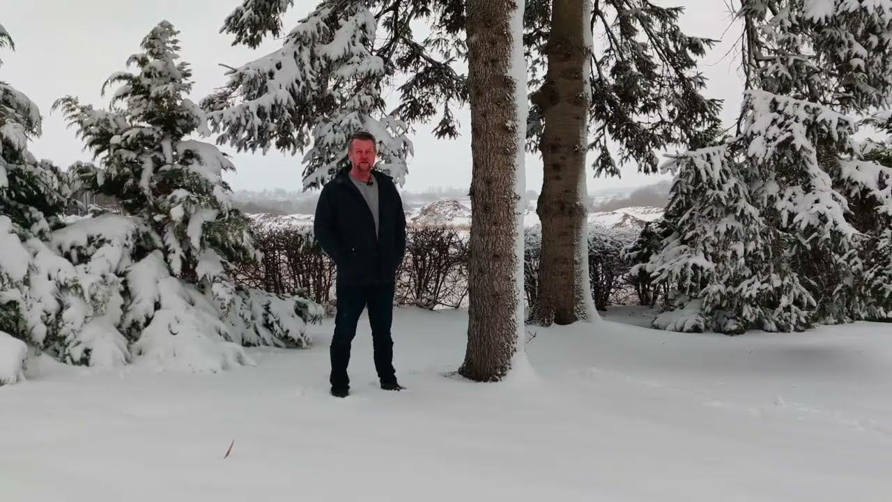 Frilandspalmer #70 SNE   Godt eller skidt